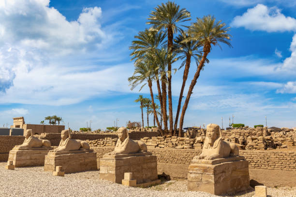 istock Sphinx Avenue in Luxor, Egypt 1443152063