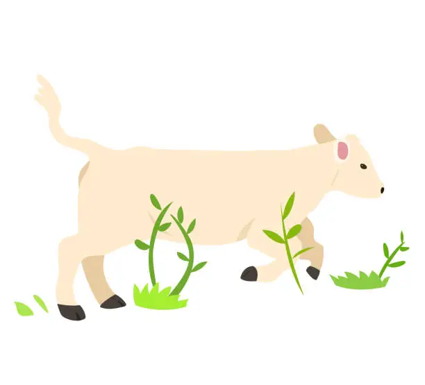 Vector illustration of Little Running Cow Cream