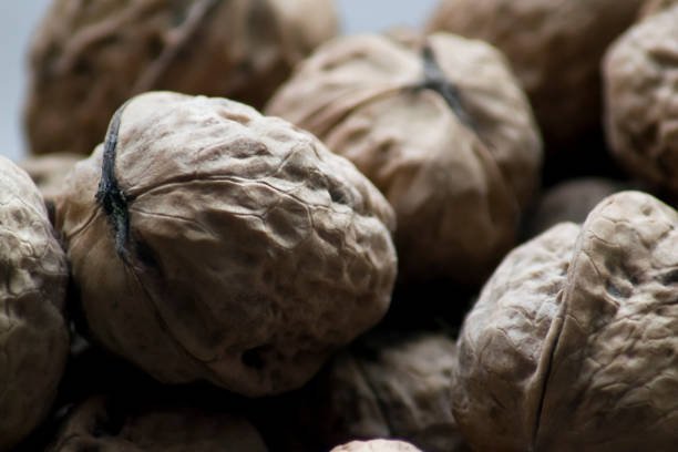 lots of unpeeled walnuts, side view