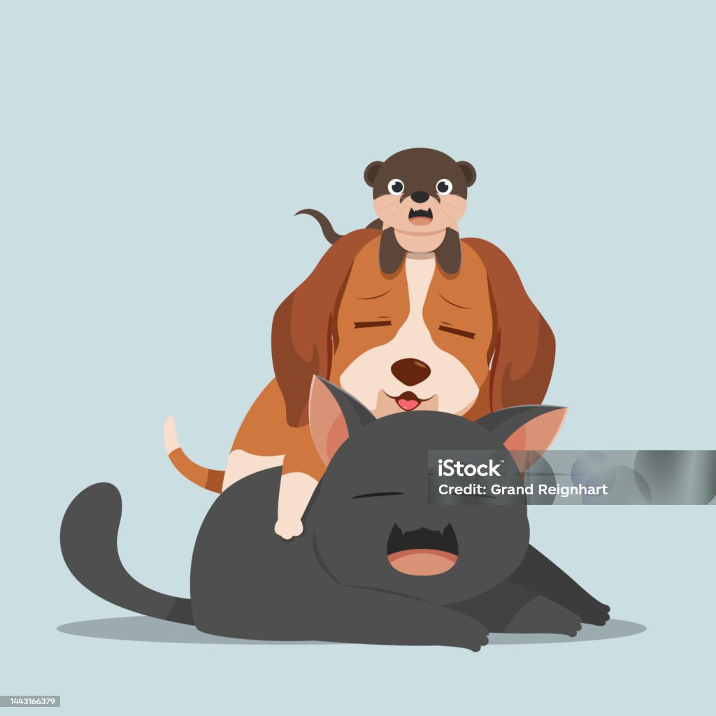 Động Vật Dễ Thương Tình Bạn Rái Cá Chó Và Mèo Ôm Nhau Khi Ngủ Hình minh họa Sẵn có - Tải xuống Hình ảnh Ngay bây giờ - iStock Động Vật Dễ Thương Tình Bạn Rái Cá Chó Và Mèo Ôm Nhau Khi Ngủ Hình Minh Họa Sẵn Có - Tải Xuống Hình Ảnh Ngay Bây Giờ - Istock
