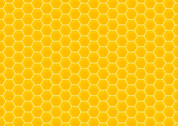 Vector illustration of Bee comb pattern vector. Bee comb pattern wallpaper. free space for text. copy space.