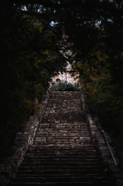 istock Vertical shot of stairs surrounded by trees 1443170307