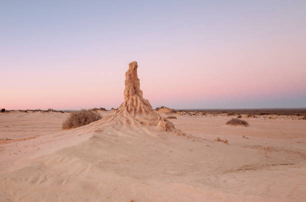 Australia western Australia, man at The pinnacles in desert.