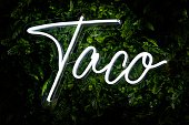 Neon light with Taco letterings against fern leaves