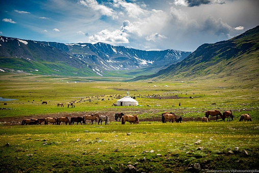 Mongolian tribe village in steppe in Mongolia