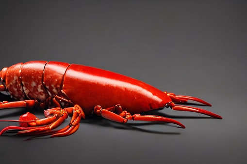 A closeup shot of a red lobster on the dark background