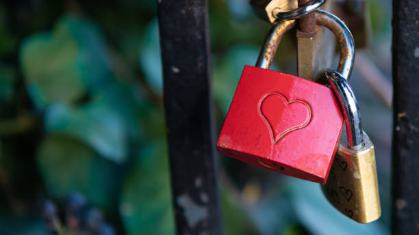 istock Heart-shaped padlock locked on the fence 1443174229