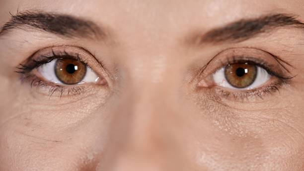 istock Close up of beautiful hazel-brown eyes. 1443176129