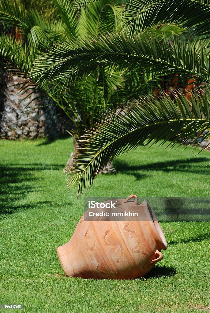 Amfora pod palmy - Zbiór zdjęć royalty-free (Amfora)