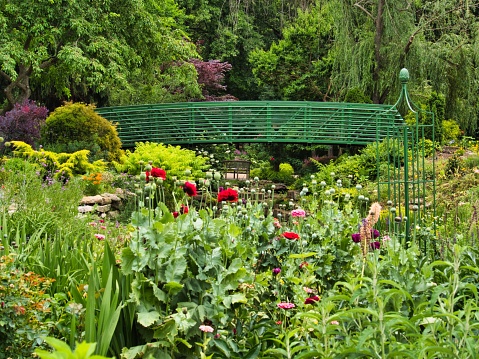 A scenic landscape in Claude Monet garden in Giverny, France, made with an Olympus digital camera