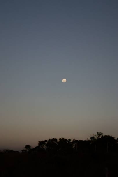 istock Vertical shot of the full moon in the evening. 1443180148