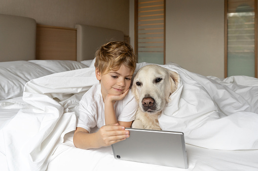 Cute child girl and her favorite pet dog golden retriever watching video cartoons or playing game on wireless digital tablet in white parent bed in bedroom at home. Bonding and relationship of human to pets. Care and love. Kid growing using gadget.