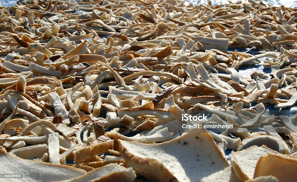 desert des os, pain dryed pièces - Photo de A l'abandon libre de droits