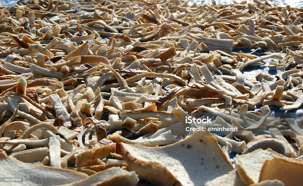 Deserto de ossos, dryed pedaços de pão - Foto de stock de Abandonado royalty-free