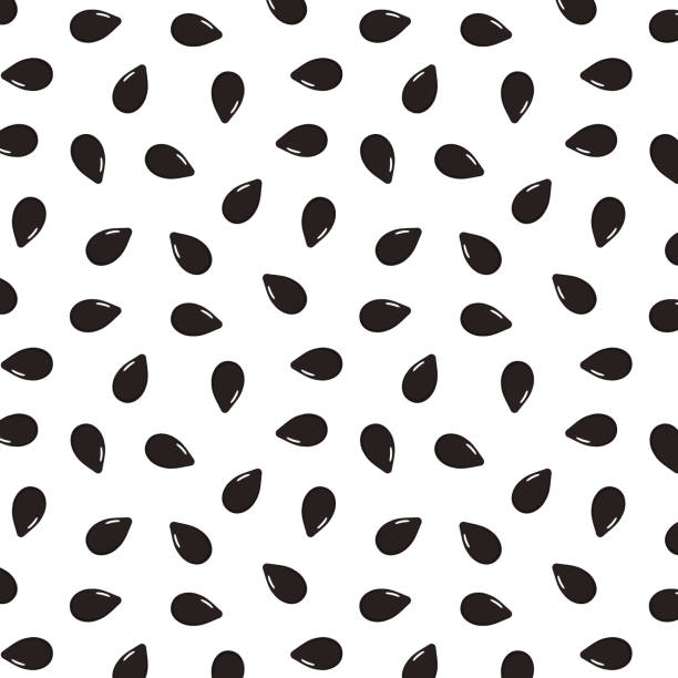 ilustraciones, imágenes clip art, dibujos animados e iconos de stock de papel tapiz de patrón de semillas de sésamo negro. semillas de sésamo negro sobre fondo blanco. - sesame black seed white background