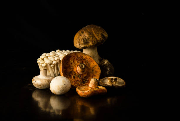 istock Different kinds of mushrooms against black background 1443182827