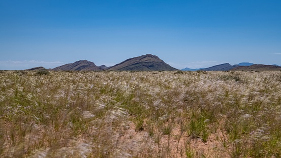 Namibia, panorama of the savannah, windy landscape with mountains in background