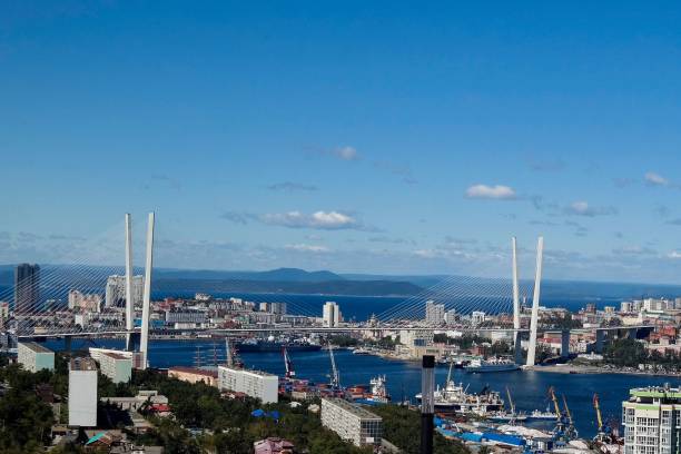 istock Golden Bridge in Vladivostok 1443184728