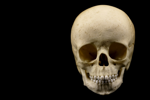 Skull of human child isolated on black