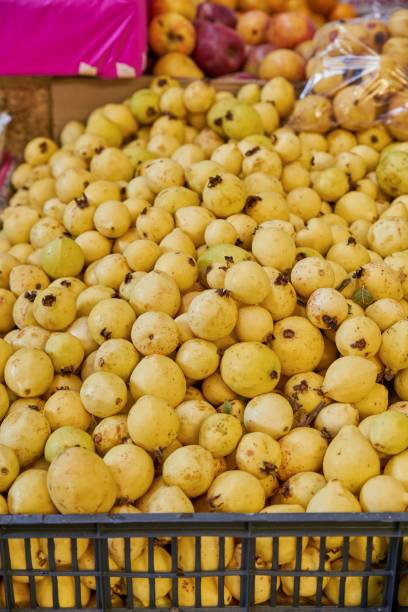 istock Juicy guavas placed on a shelf for sale inside 1443185432