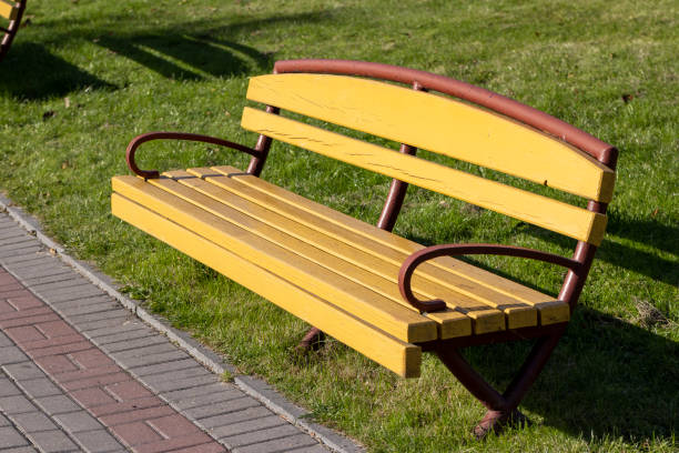 Benches installed in the park for recreation, painted with yellow paint benches in the park on a field with mown grass