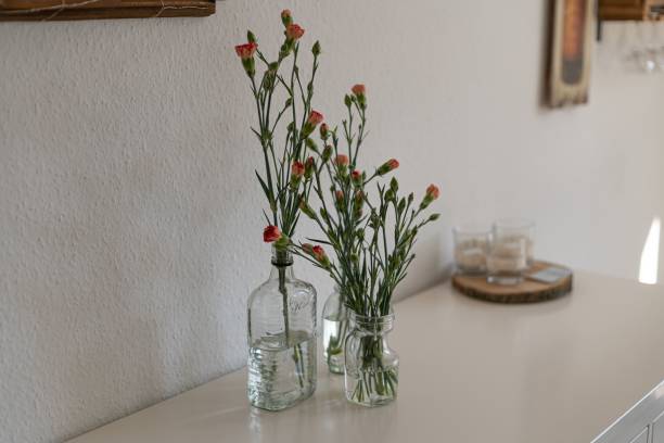 istock Closeup of makeshift vases with carnations (Dianthus caryophyllus) against a white background 1443188948