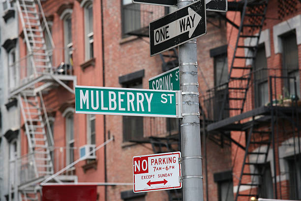 istock Mulberry street, new york 144318900