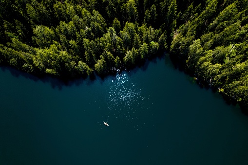 An aerial top view of a pine forest by dark blue water