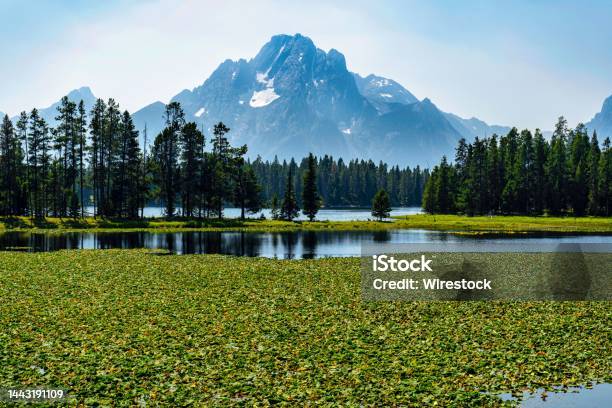 Mesmerizing View Of The Mount Moran From The National Park Wyoming United States Stock Photo - Download Image Now