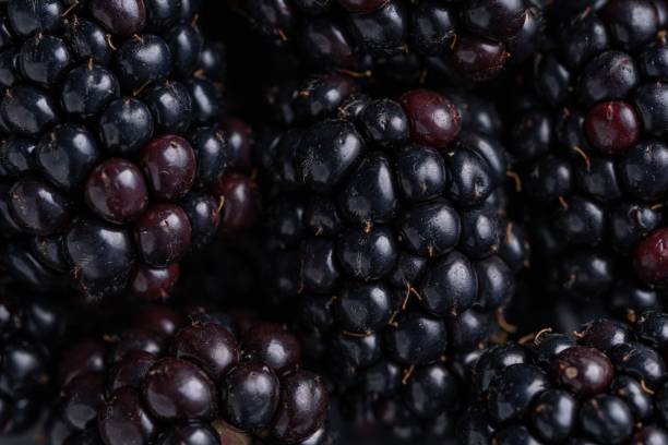istock Closeup shot of blackberries on the table 1443191316
