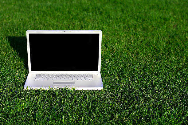 istock Laptop on field of green grass 144319146