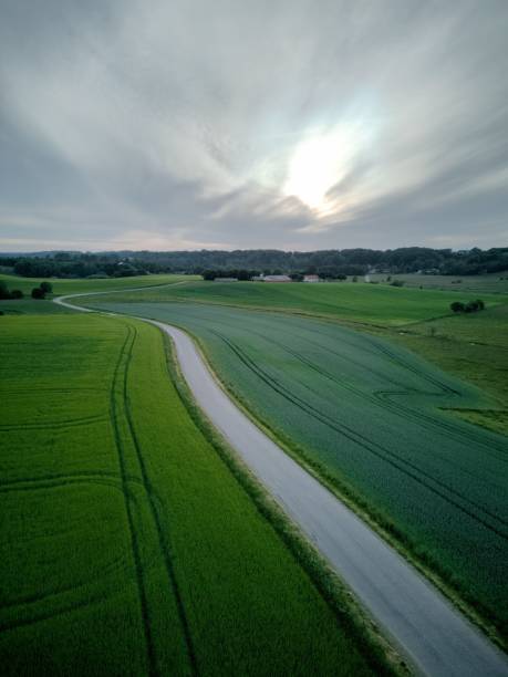 istock Aerial view of highway through lush green fields against cloudy sky 1443192034