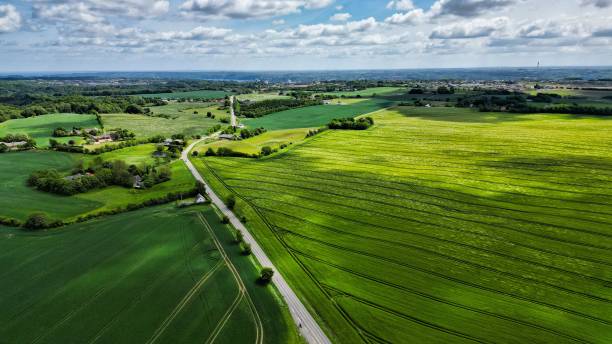 istock Aerial panoramic view of highway through lush green fields against blue cloudy sky 1443192044