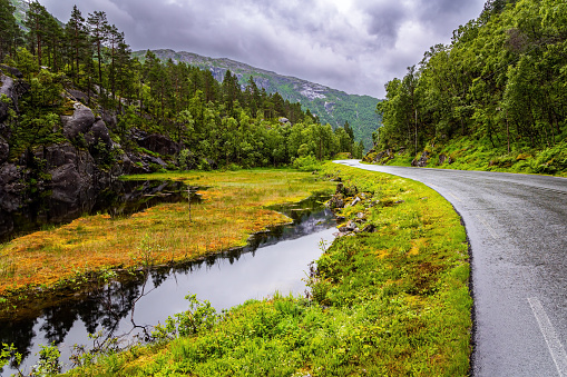 The picturesque road in Norway. Summer trip to the north of Europe. Summer cold and rainy day. Western Norway. Narrow fast shallow stream rumbles on the riffles