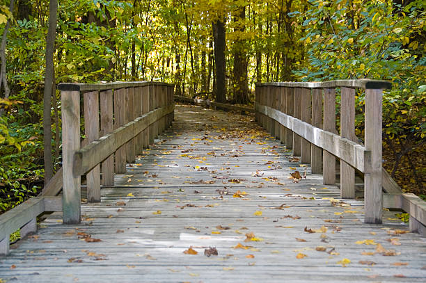 Wooden bridge in fall stock photo