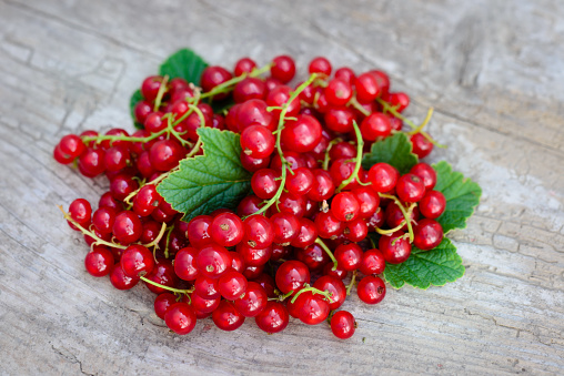 Red currant on branch. Currant red with leaf on wooden background. Organic currants. Currant heap top view.
