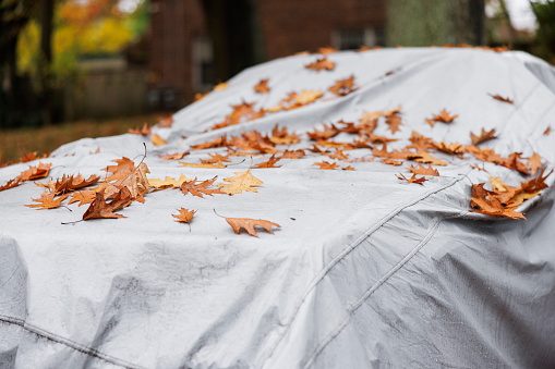 A car in a protective car case, parked on the street, covered with fallen autumn leaves.