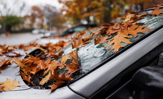 An autumn day with a lot of foliage covering cars in a parking lot.