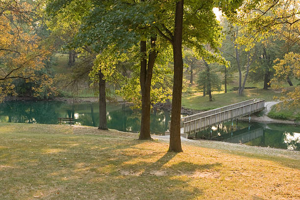 istock Fal Beauty in the park 144320633