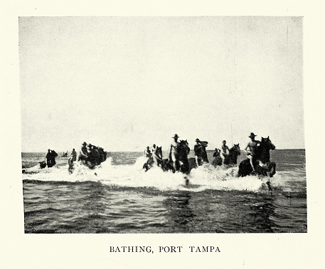Vintage illustration after a photograph, United States Army Cavalry bathing horse Port Tampa, Spanish American War era, 1890s, 19th Century.