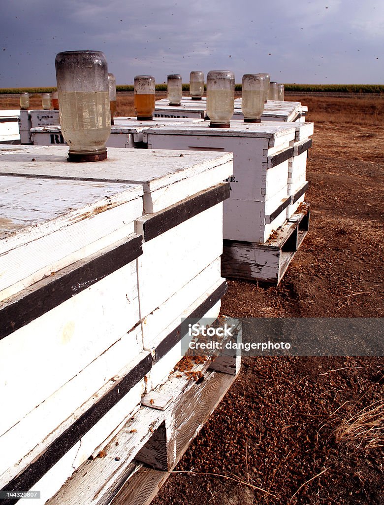 Beehives - Lizenzfrei Angeschlagen Stock-Foto