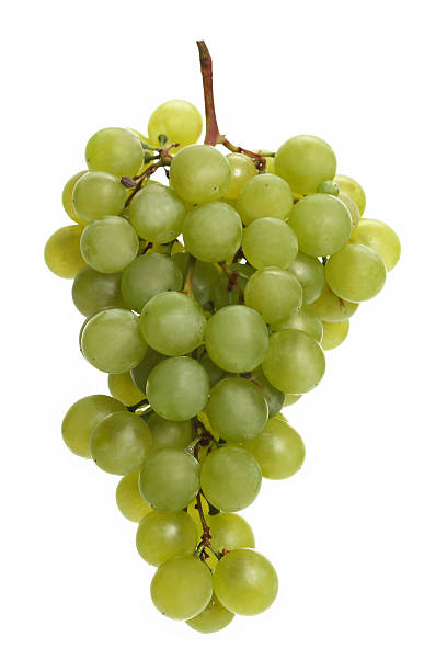 포도 - grape bunch cabernet sauvignon grape isolated 뉴스 사진 이미지