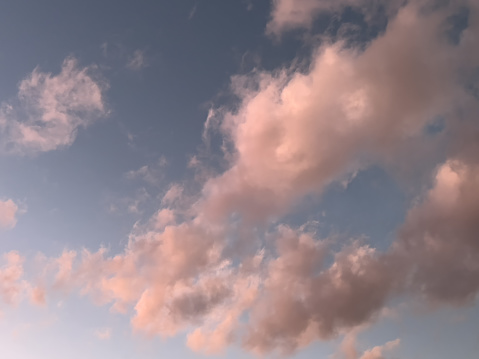 Horizontal cloudscape of pale pink cumulus clouds in a pale blue sky. Armidale, NSW