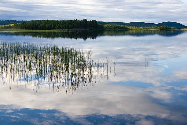 Lapland stock photo