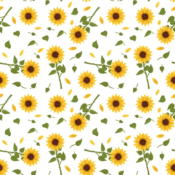 Vector illustration of Seamless pattern with yellow sunflowers on white background