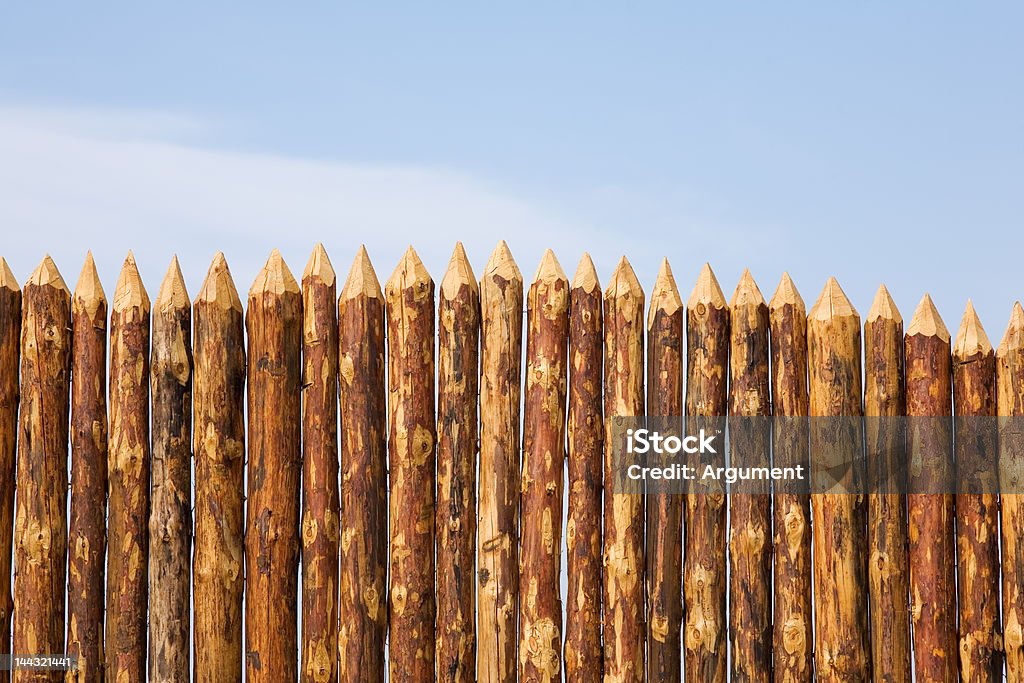 Paling - Foto de stock de Afilado libre de derechos