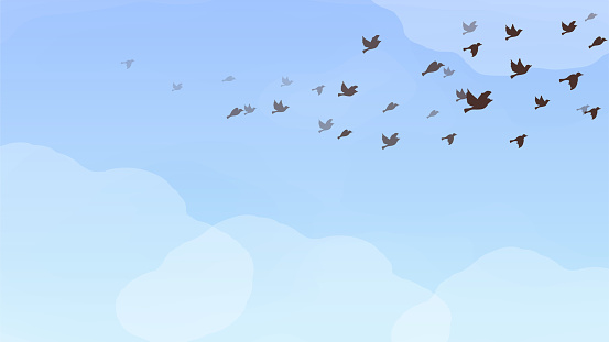 This is a background illustration of a blue sky and a flock of birds flying among the clouds.