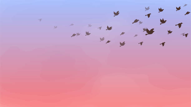 This is a background illustration of a flock of birds flying in the morning sky. This is a background illustration of a flock of birds flying in the morning sky. paper silhouettes stock illustrations
