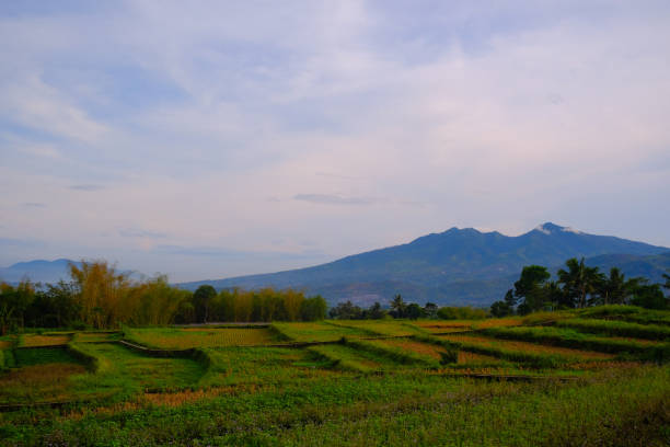 istock new agricultural land 1443215647