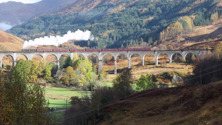 Stream train over the viaduct at Glenfinnan